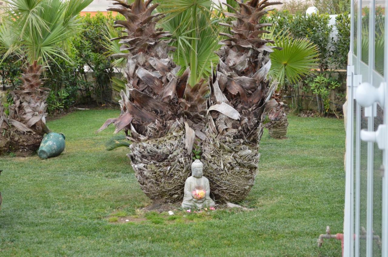 Bed and Breakfast Floripa Surf House à Santa Maria Del Focallo Extérieur photo